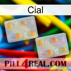 Cial 25